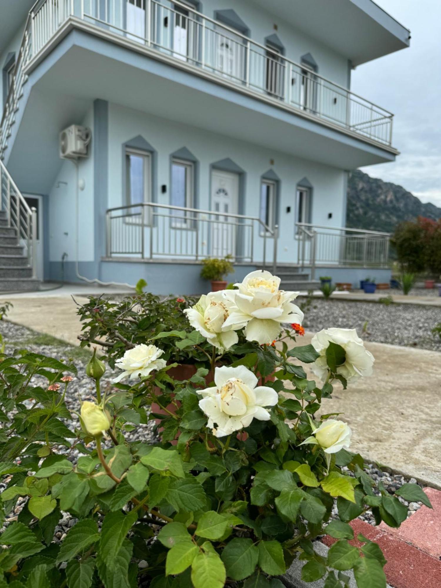 Privat overnatting Rrjolli View